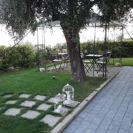 Aurivu Villa Vallebona Kültér fotó